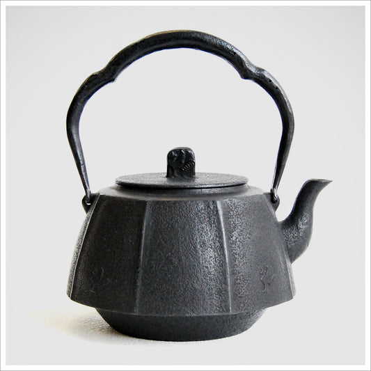 Phenimax Original Nambu Ironware